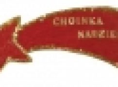 „Choinki Nadziei” w Katowicach – Młodzi duchem