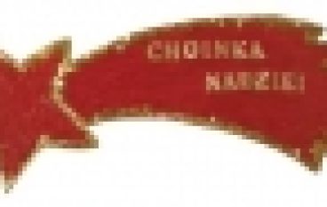 „Choinki Nadziei” w Katowicach – Młodzi duchem