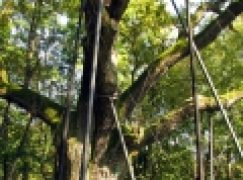 Bartek będzie uratowany