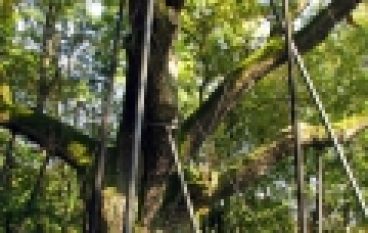 Bartek będzie uratowany