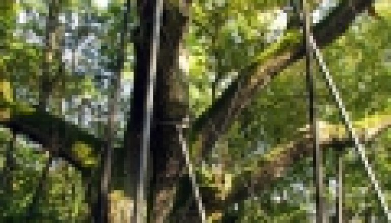 Bartek będzie uratowany