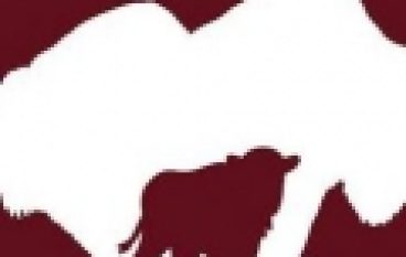 Ochrona przyrody – 90 lat restytucji żubra