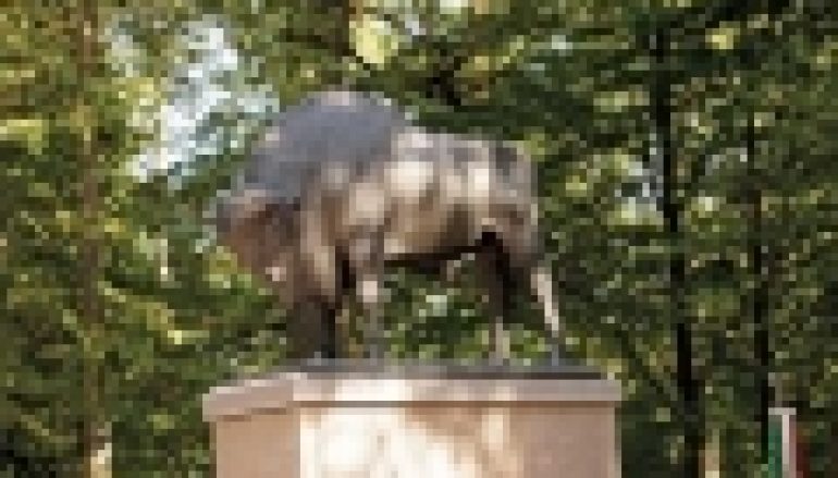 Białowieski Park Narodowy – Symboliczny powrót symbolu