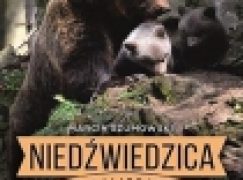 Niedźwiedzica z Baligrodu i inne historie Kazimierza Nóżki