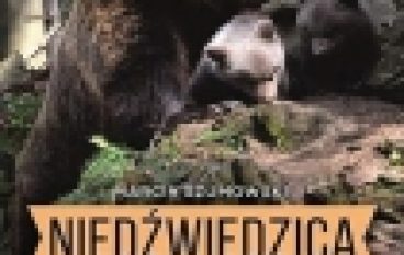 Niedźwiedzica z Baligrodu i inne historie Kazimierza Nóżki