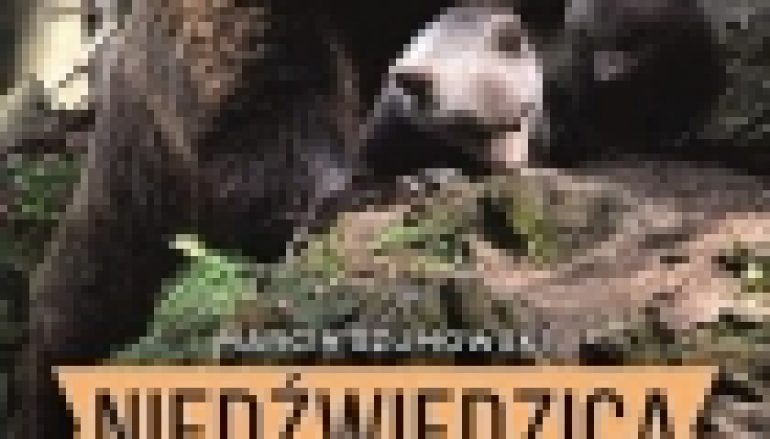 Niedźwiedzica z Baligrodu i inne historie Kazimierza Nóżki