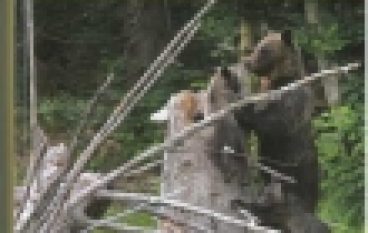 Obszary Natura 2000 na Podkarpaciu