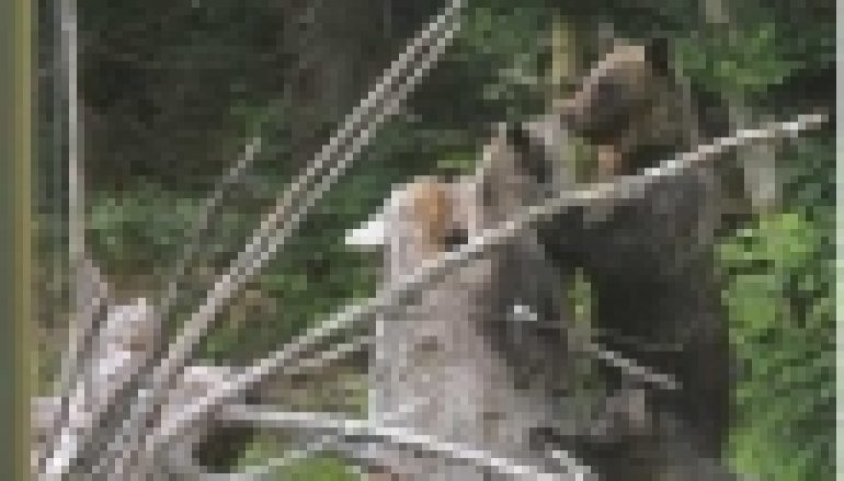 Obszary Natura 2000 na Podkarpaciu