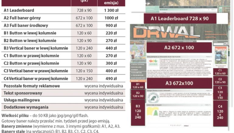Formaty reklamowe i cennik