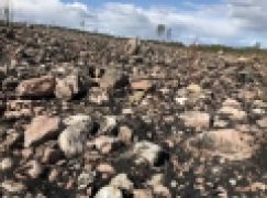 Pożary lasów w Szwecji (20/2018)