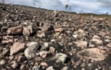 Pożary lasów w Szwecji (20/2018)