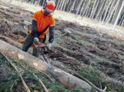 Z zagranicy 15-16/2017