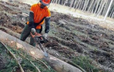 Z zagranicy 15-16/2017