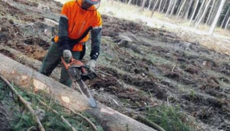 Z zagranicy 15-16/2017