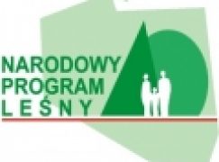 Narodowy Program Leśny – „Rozwój” – kolejny panel ekspertów