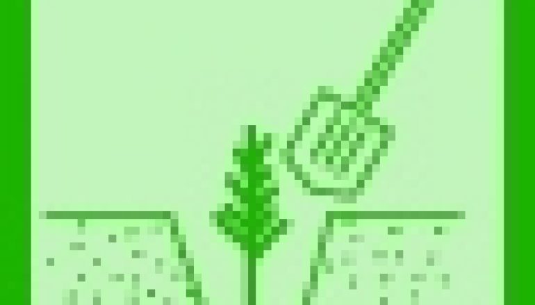 Planuję w przyszłym roku zalesić dwie swoje działki