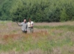 Doradcy od zalesień