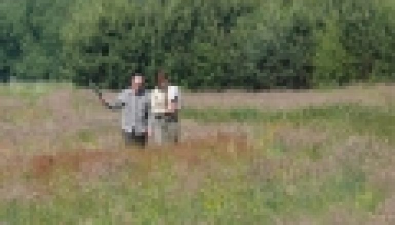 Doradcy od zalesień