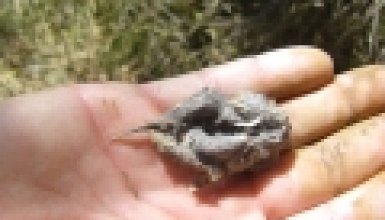 Dobre i zbyt dobre praktyki