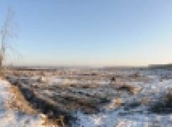 Powierzchnie pohuraganowew Toruniu – Kończy się sprzątanie