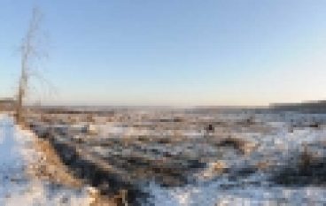 Powierzchnie pohuraganowew Toruniu – Kończy się sprzątanie