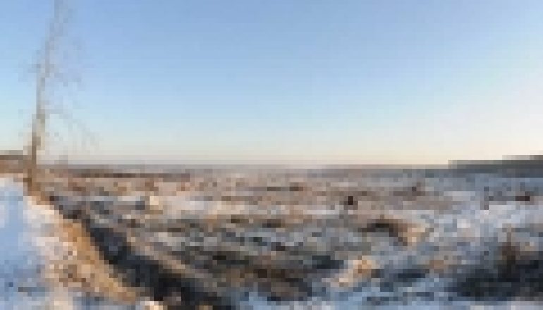 Powierzchnie pohuraganowew Toruniu – Kończy się sprzątanie