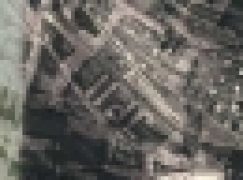 Leśnictwo Bukowno – Nietypowy las JP II