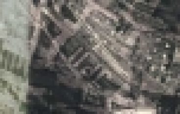 Leśnictwo Bukowno – Nietypowy las JP II