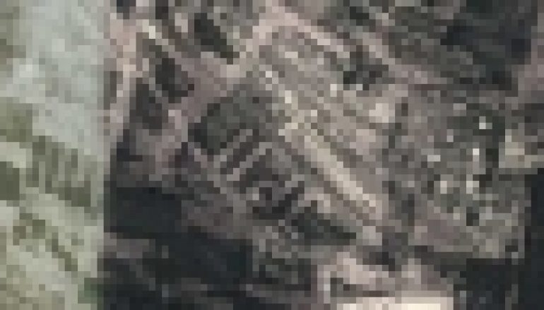 Leśnictwo Bukowno – Nietypowy las JP II