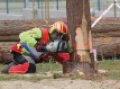 Mistrzostwa Polski Drwali – Łańcuch w 12 sekund!