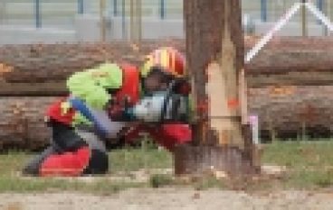 Mistrzostwa Polski Drwali – Łańcuch w 12 sekund!