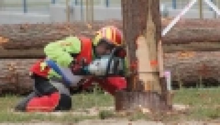 Mistrzostwa Polski Drwali – Łańcuch w 12 sekund!