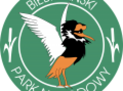 Ochrona przyrody – Ocena skutków pożaru