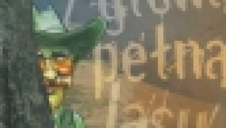 Z głową pełną lasu