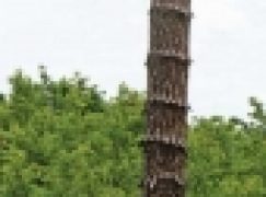 Nadleśnictwo Lidzbark – Z lasu do podręcznika