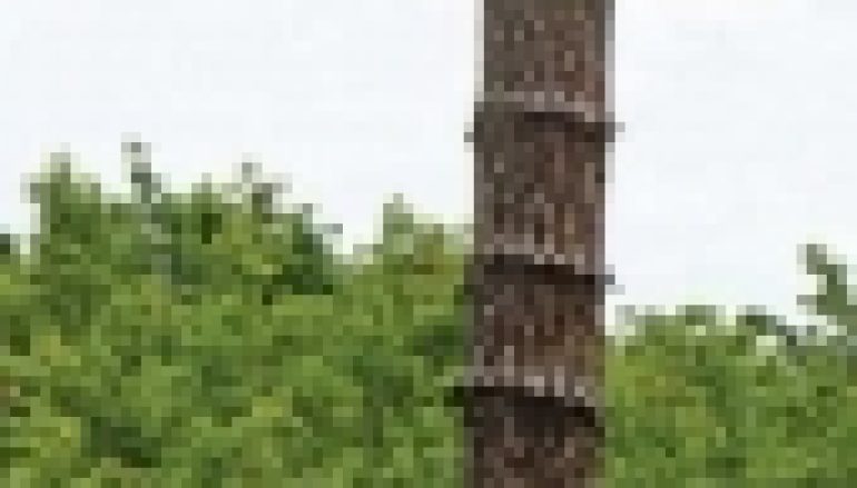 Nadleśnictwo Lidzbark – Z lasu do podręcznika