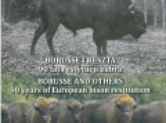 Borusse i reszta. 90 lat restytucji żubra