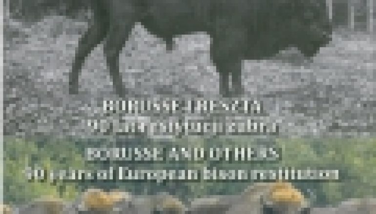 Borusse i reszta. 90 lat restytucji żubra