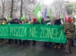 Puszcza Białowieska – Każdy ma swoje racje