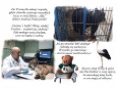 Lasy podkarpacia w bajce – Miś Gustaw i jego przygody