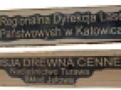 RDLP w Katowicach – Dekada cennych sortów