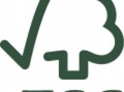 FSC Polska – Zawieszenie