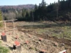 Zagroda pokazowa żubrów w Mucznem