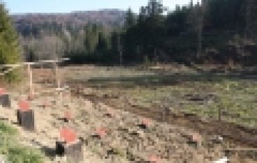 Zagroda pokazowa żubrów w Mucznem