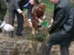 Międzynarodowy Rok Lasów w Nadleśnictwie Włocławek