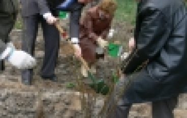 Międzynarodowy Rok Lasów w Nadleśnictwie Włocławek