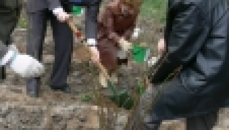 Międzynarodowy Rok Lasów w Nadleśnictwie Włocławek