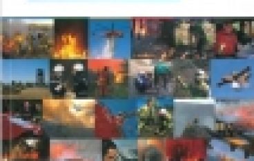 Europejski słownik dotyczący pożarów lasu