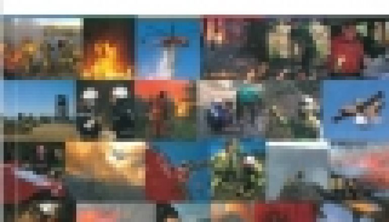 Europejski słownik dotyczący pożarów lasu