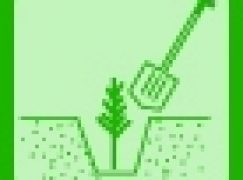 Sąsiad nie zgadza się na zalesienie